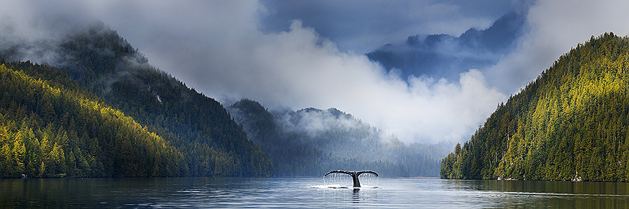 lake.png